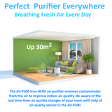 AROVEC Smart Compact Air Purifier, AV-P300