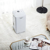 AROVEC Smart Dehumidifier & Air Purifier 2-in-1 Functionality, AroDry-P10